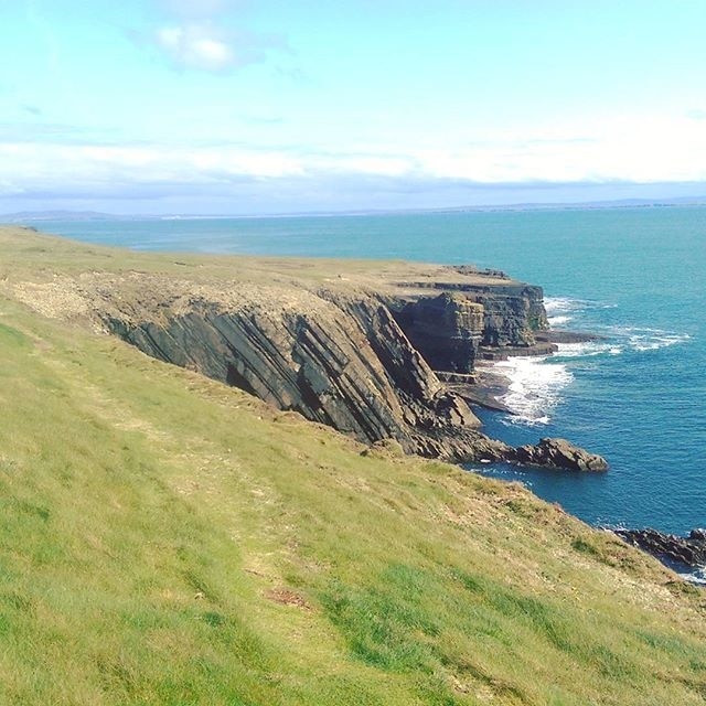 Loop Head