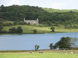 Killone Abbey