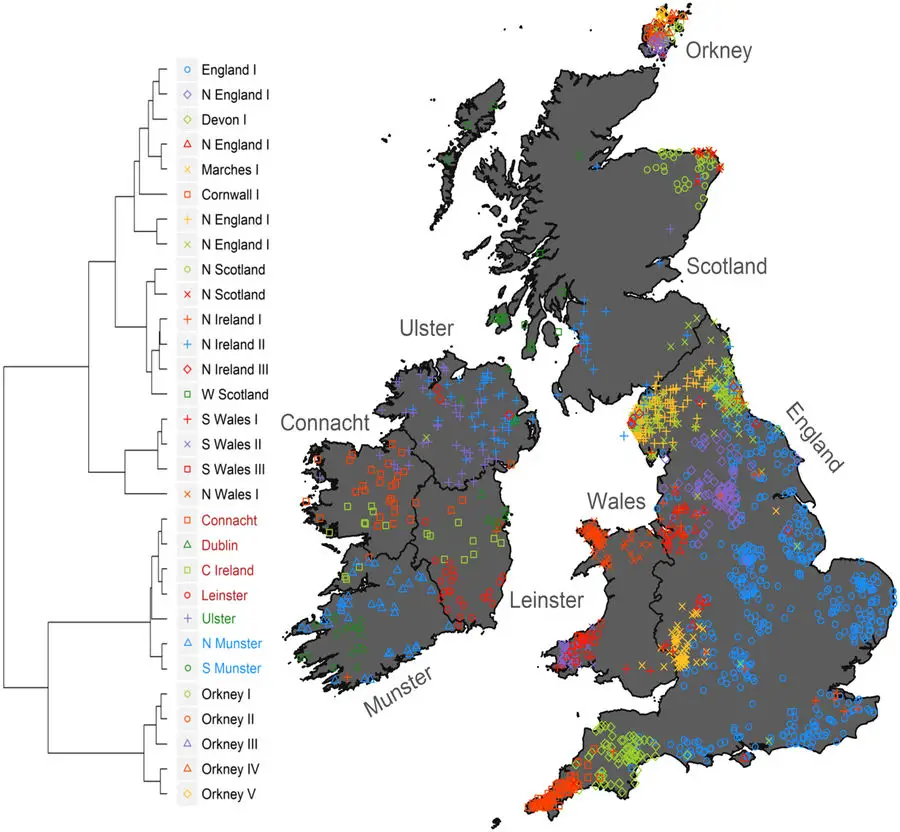 Pic: Irish DNA Atlas