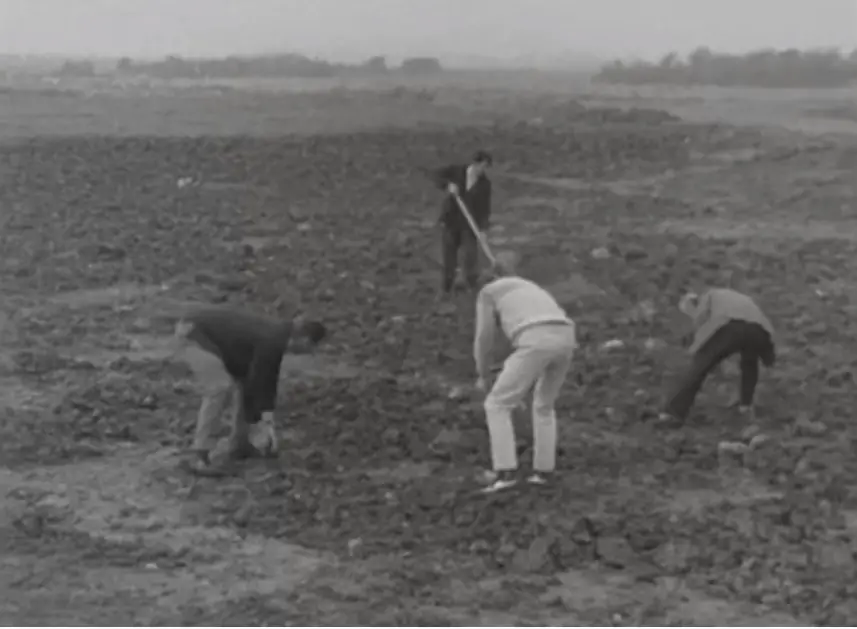 Working on the Shannon Golf Club