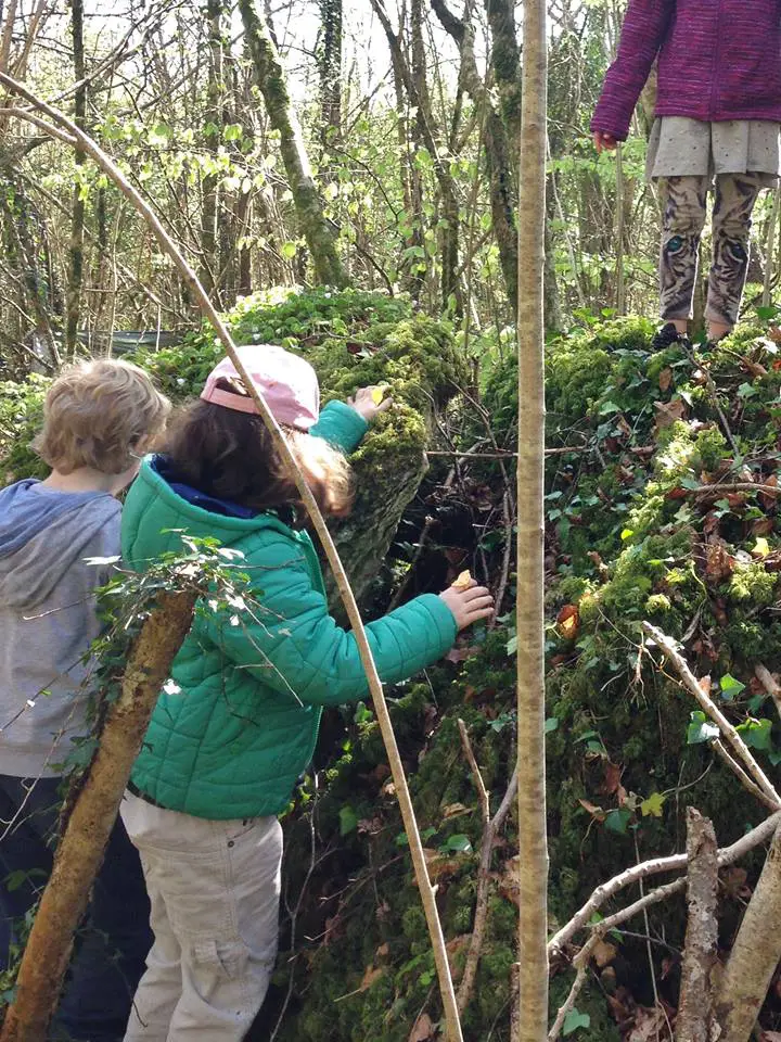 Happy Out Forest School