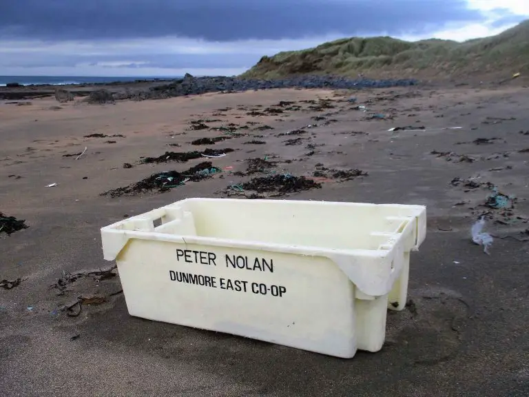 Photo courtesy of Liam McNamara, Burren Shores Beachcombers.