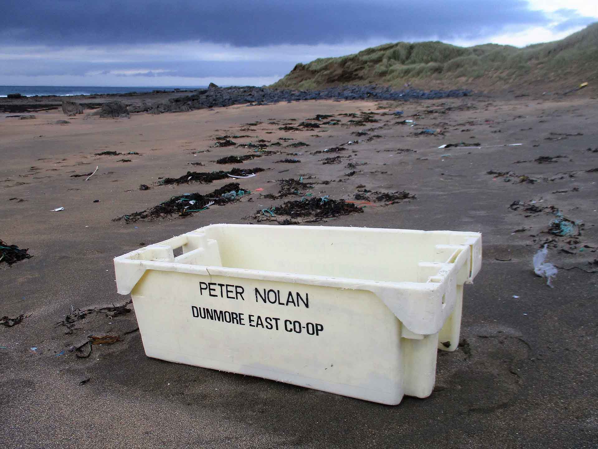 Photo courtesy of Liam McNamara, Burren Shores Beachcombers.