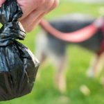 dog poo bag