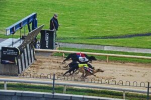 limerick greyhound race