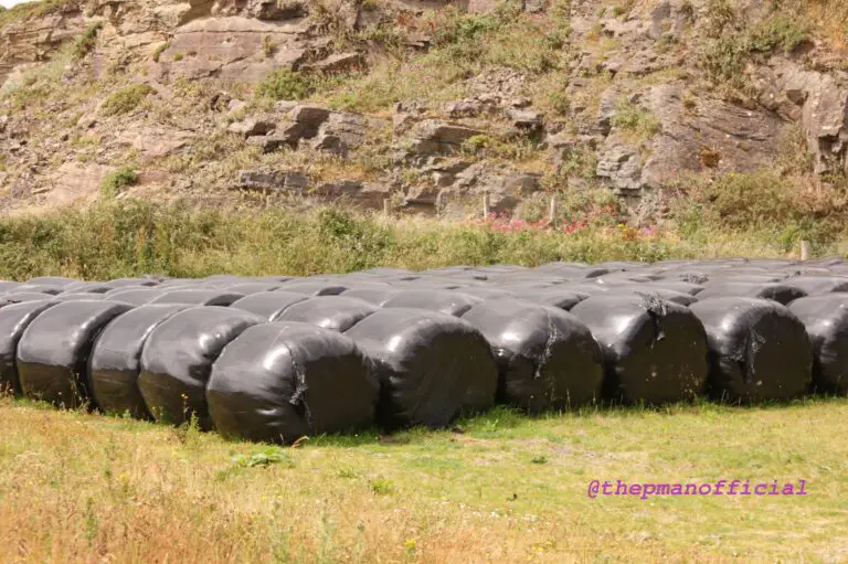 agriculture hay bales farm 1