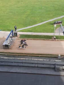 greyhounds limerick