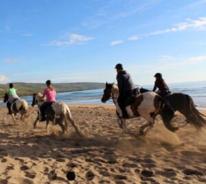 Mountain View Horse Riding CentreMountain View Horse Riding Centre