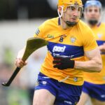 clare v wexford 18-06-22 12 david fitzgerald
