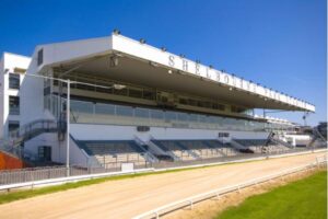 shelbourne park