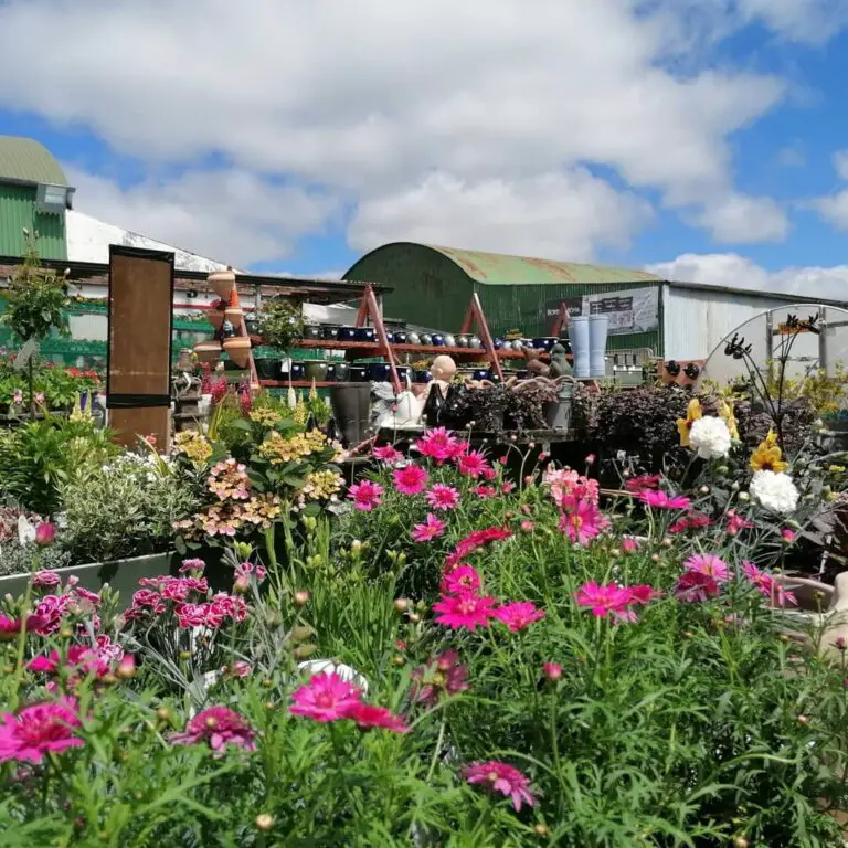 Cottage Garden Centre