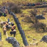 burren winterage