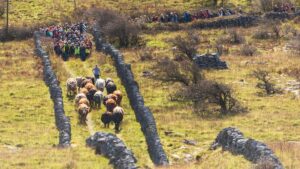 burren winterage