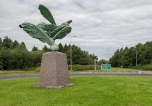 roundabout shannon green