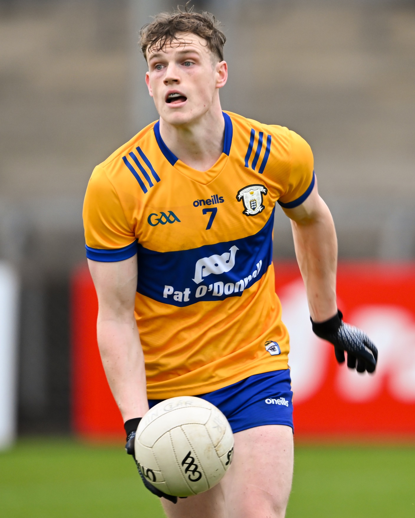 clare v wicklow 26-02-24 daniel walsh 2