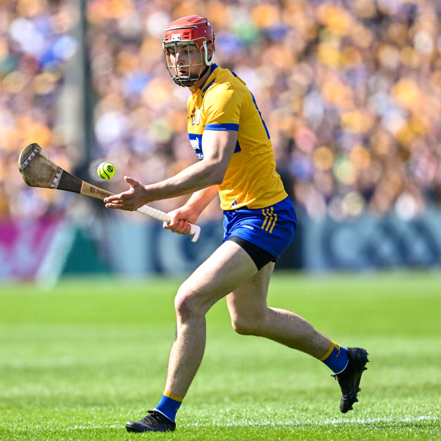 clare v limerick 21-04-24 peter duggan 1