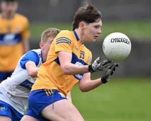 clare v waterford minor 02-04-23 darragh townsend 1