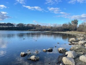 ballyalla 14-03-25 1