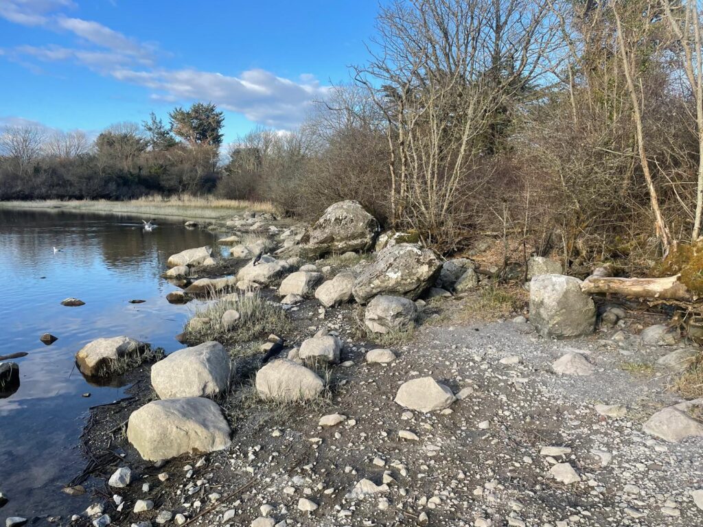ballyalla 14-03-25 2