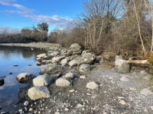 ballyalla 14-03-25 2