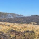 gorse fire kinturk 10-04-25 7
