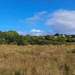 st brendan's road lisdoonvarna 1