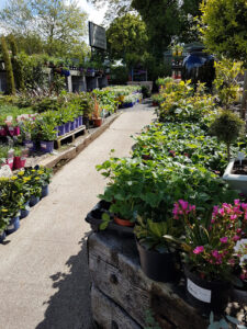 vaughans garden centre 1