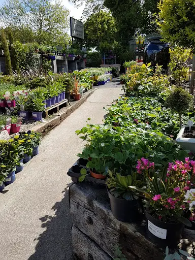 vaughans garden centre 1