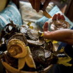 burren oysters 1
