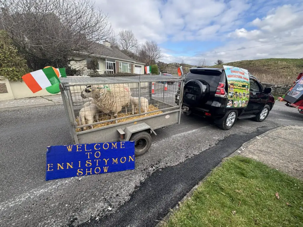 ennistymon show 1