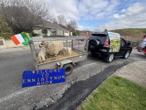 ennistymon show 1