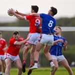 éire óg v doora barefield 30-05-25 aidan mcgrath niall mcmahon michael nash 1