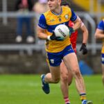 louth v clare 15-06-25 brian mcnamara 6