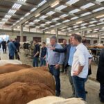 michael mcnamara ciney cattle mart 1-2