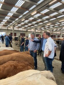 michael mcnamara ciney cattle mart 1-2