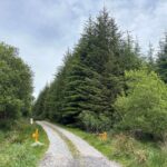 project west forestry 1