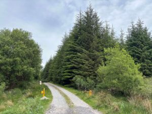 project west forestry 1