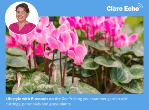 Blossoms on the go