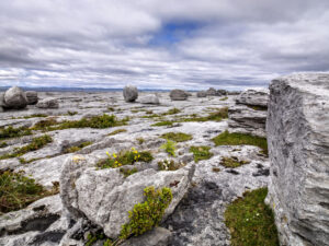 burren limestone pavement 1