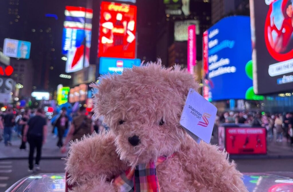shannon bear new york 1