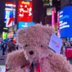 shannon bear new york 1