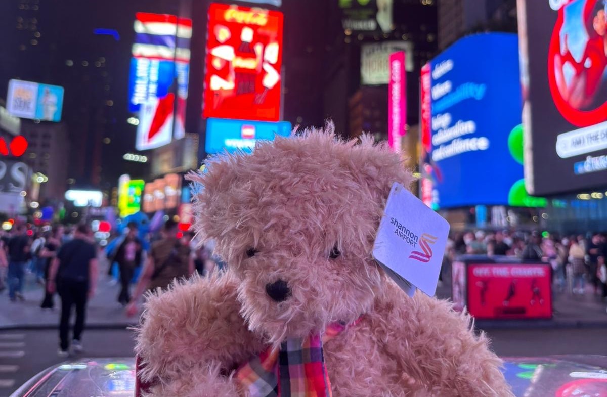 shannon bear new york 1