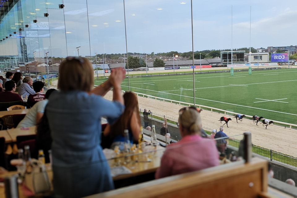 galway greyhound stadium 1