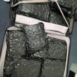 sean grehan cannabis 1