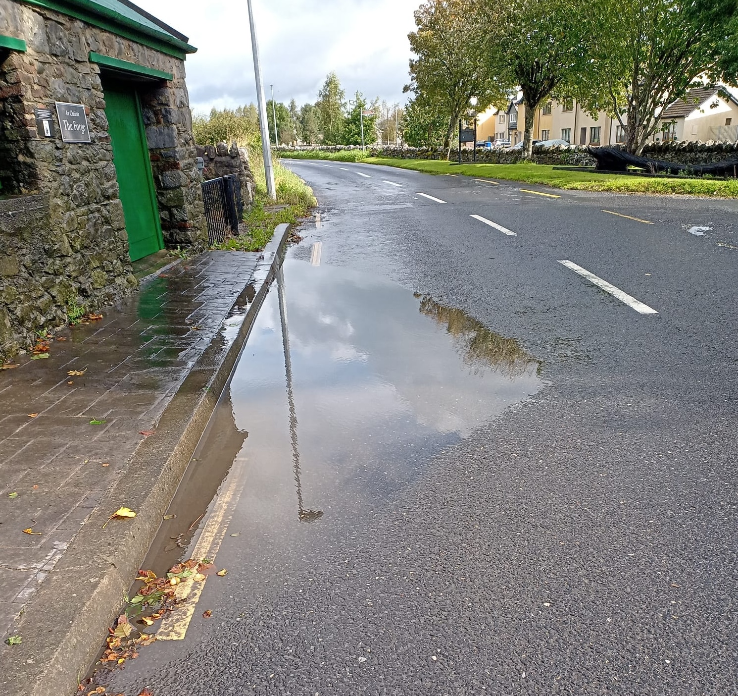 the forge kilkishen 1