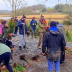 Recent Tree Planting by the Restore Ballymacraven River Association - March 2025 (RuairÃ_ Ã ConchÃºir)