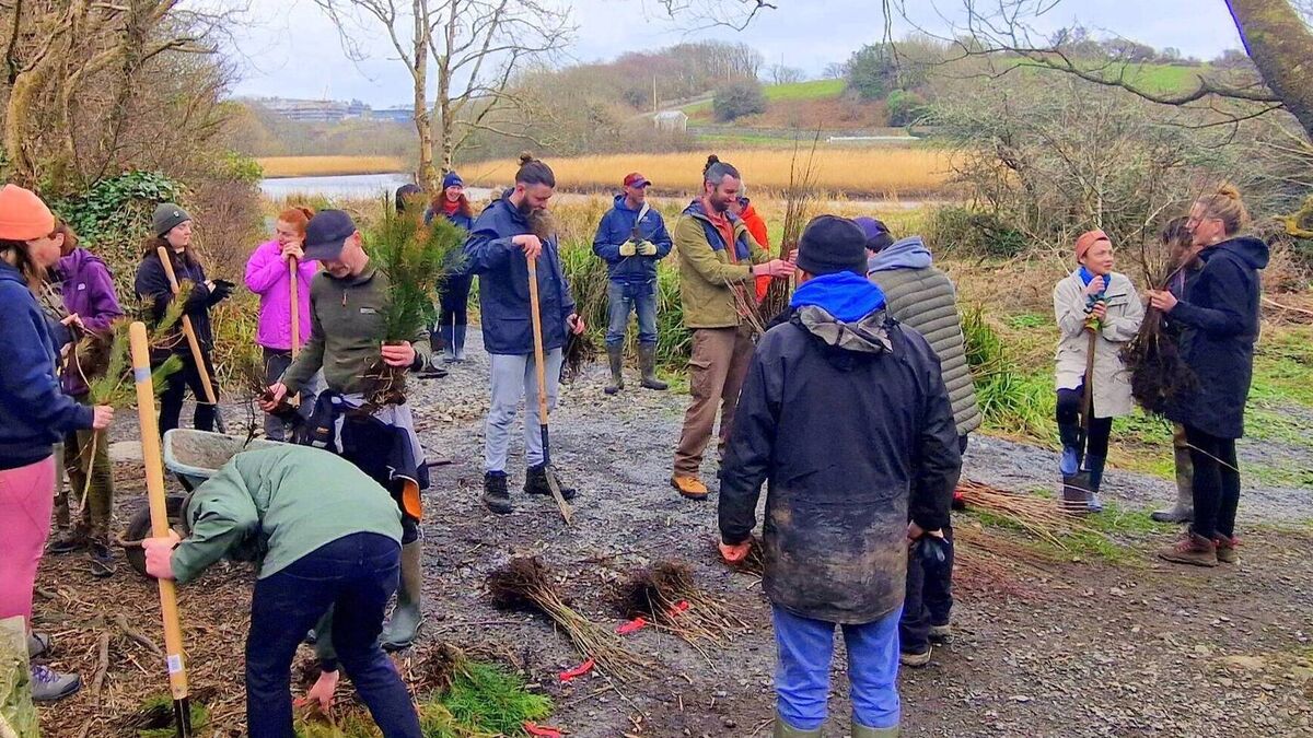 Recent Tree Planting by the Restore Ballymacraven River Association - March 2025 (RuairÃ_ Ã ConchÃºir)