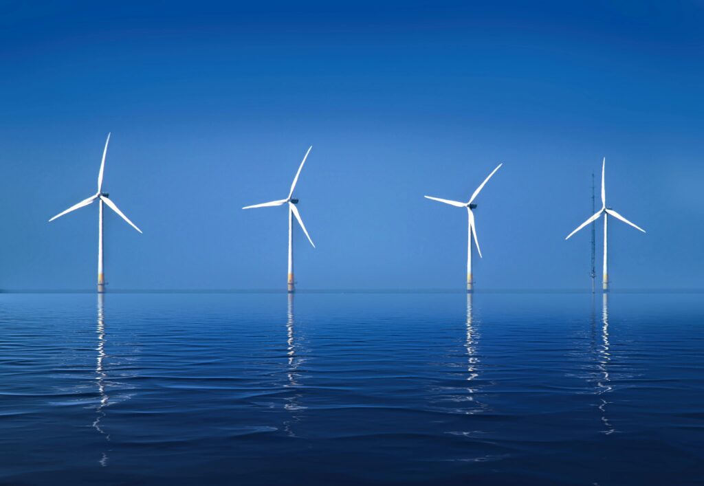 pexels-cameramanic-35007721