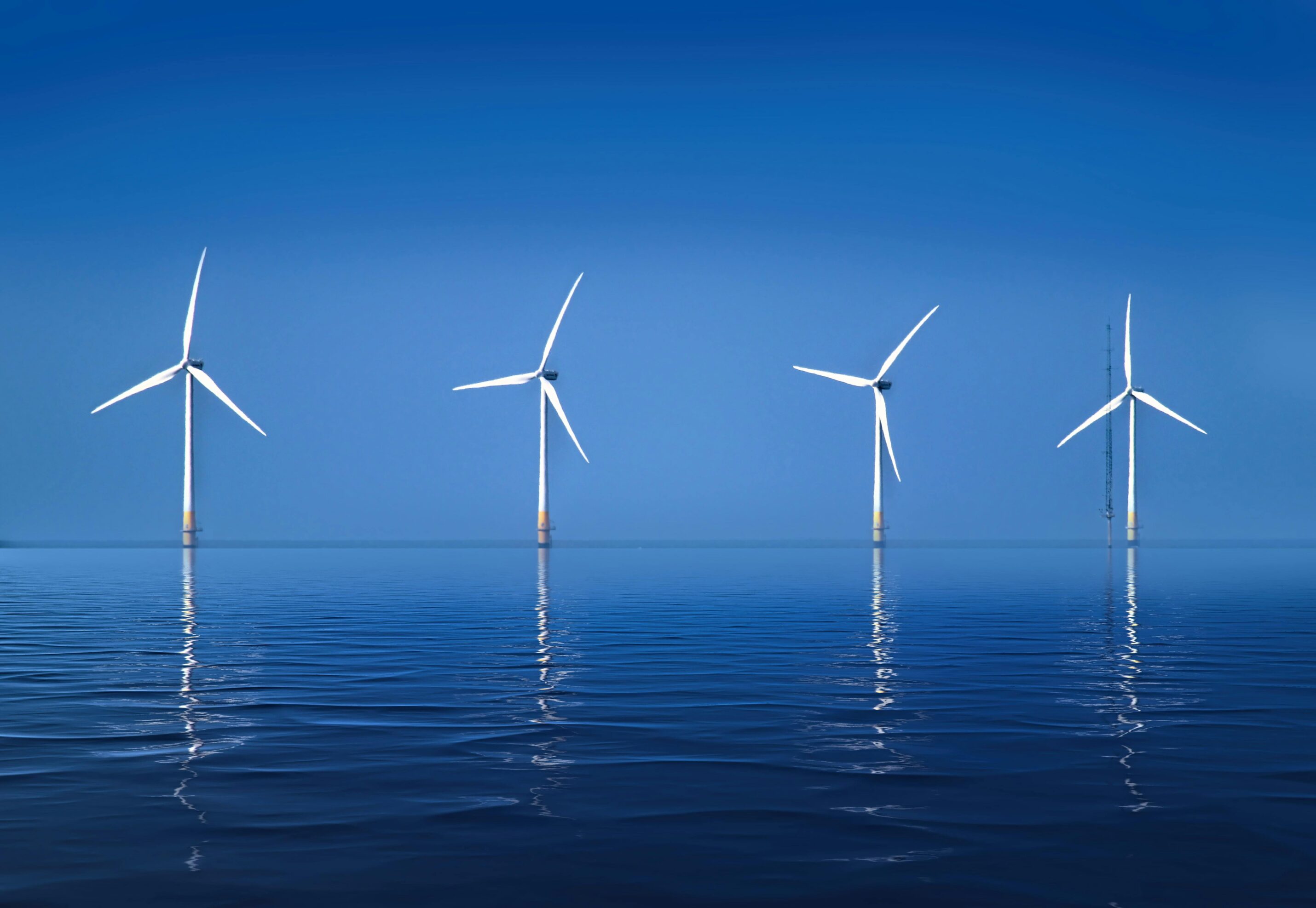 pexels-cameramanic-35007721