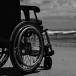 pexels-lucasandrade-20340270